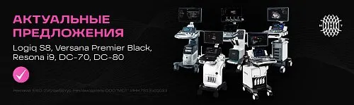 banner banner